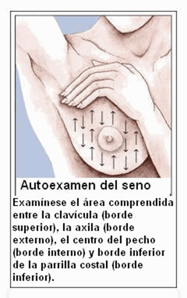 examen2