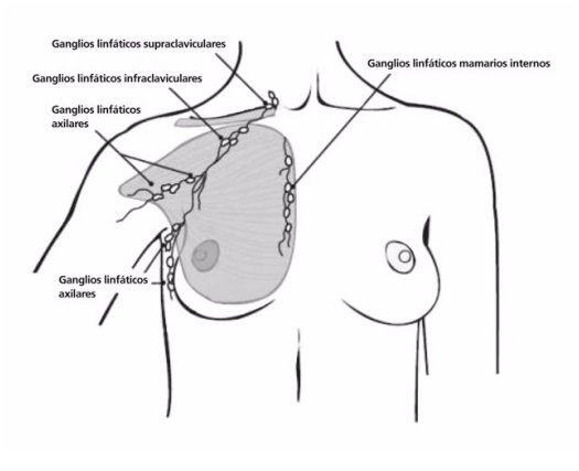 ganglioslinfaticos